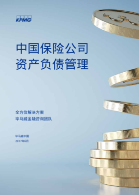 中國保險公司資產(chǎn)負(fù)債管理與資產(chǎn)管理的融合與創(chuàng)新